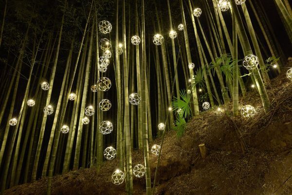 竹玉ライトアップの様子