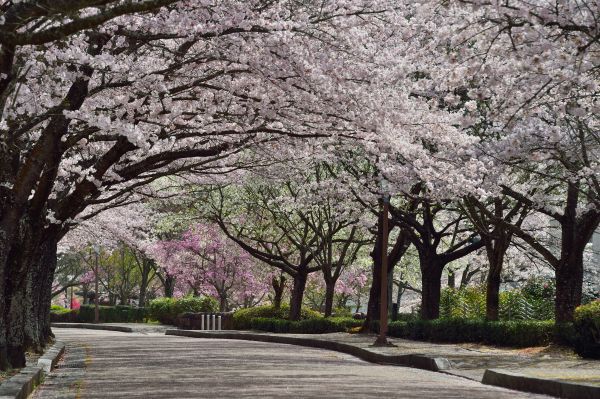 和らぎの道七谷川沿い