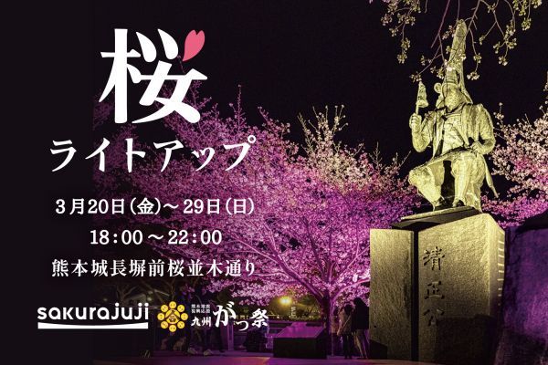 熊本城・桜ライトアップ