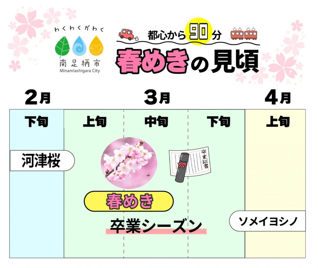 ※神奈川県南足柄市の開花傾向です。
