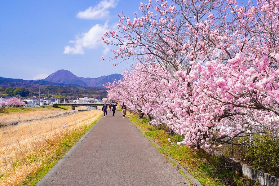 春木径（はるきみち）・幸せ道の春めき