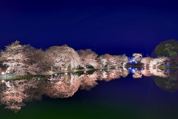 ライトアップイメージ