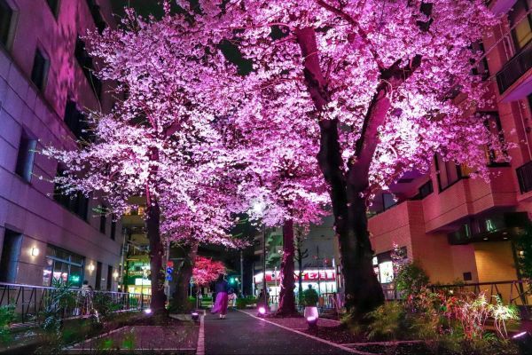 ※2025年 野一色由佳_最優秀賞