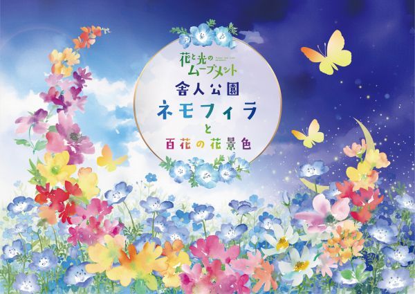 「花と光のムーブメント 舎人公園～ネモフィラと百花の花景色～」