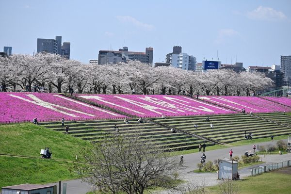 新荒川大橋からの景観（4月3日撮影）