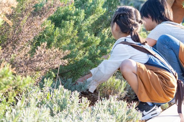 ガーデナーのおしごと体験