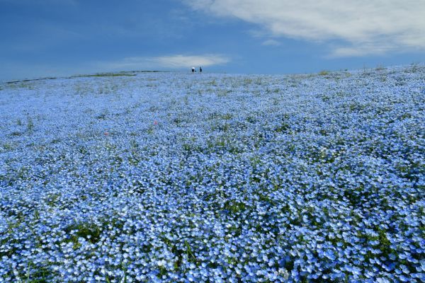 2026年4月22日撮影