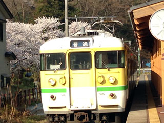 「ひでにゃん」さんからの投稿写真＠弥彦駅