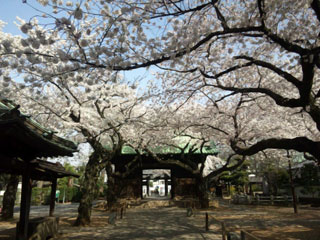 「かすみ食堂」さんからの投稿写真＠祐天寺