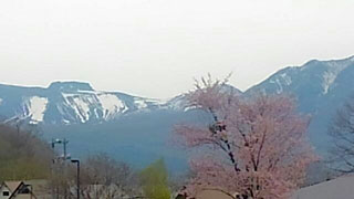 「みなこ」さんからの投稿写真＠支笏湖