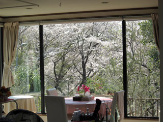 「つるこ」さんからの投稿写真＠松ヶ丘公園