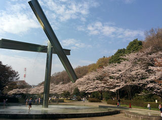 「まるまる」さんからの投稿写真@町田市芹が谷公園