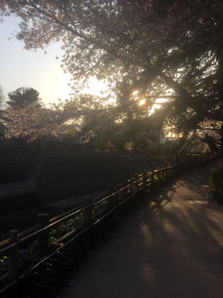 「きの」さんからの投稿写真＠川