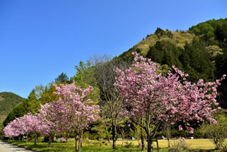 「s.n」さんからの投稿写真＠道の駅ひだ朝日村