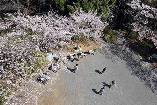 「写楽」さんからの投稿写真＠弘明寺公園