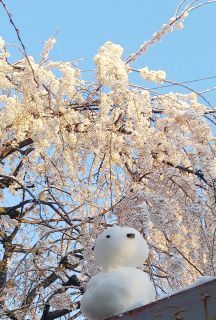 「南無」さんからの投稿写真＠富山市