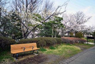 「一水」さんからの投稿写真＠日野中央公園