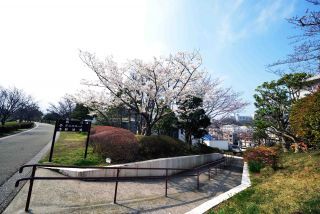 「写ガ～ル」さんからの投稿写真＠日野中央公園