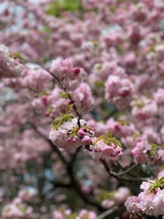 「アンディ」さんからの投稿写真＠不明