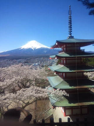 「とっし～」さんからの投稿写真＠新倉山浅間公園