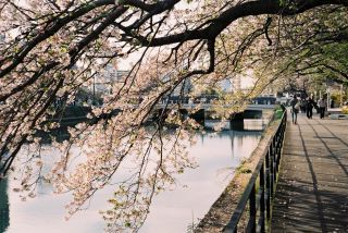 「綺麗な広島！」さんからの投稿写真＠広島駅前