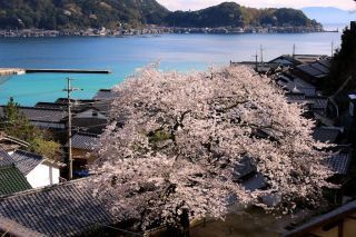 「S.Y」さんからの投稿写真@京都府伊根町・海蔵寺
