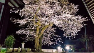 「S.Y」さんからの投稿写真@京都府伊根町・海蔵寺