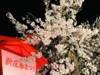 「ジュちゃん」さんからの投稿写真＠新庄最上公園