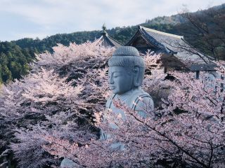 「A.K.S」さんからの投稿写真@壷阪寺