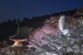 「A.K.S」さんからの投稿写真@壷阪寺