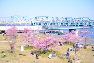 「千葉愛の教会写真クラブ」さんからの投稿写真＠妙典公園