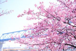 「千葉愛の教会写真クラブ」さんからの投稿写真@妙典公園