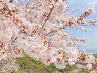 「こかぴ」さんからの投稿写真＠成田山不動寺