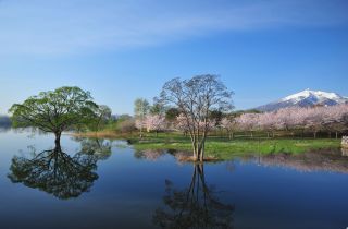 「かせい2月」さんからの投稿写真＠青森県 鶴の舞橋