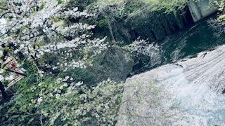 「匿名希望」さんからの投稿写真@外堀通り 市ヶ谷付近
