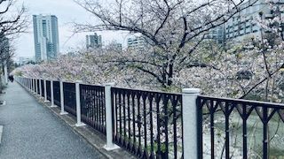 「匿名希望」さんからの投稿写真@外堀通り 市ヶ谷付近