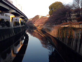 「hiro」さんからの投稿写真＠江戸川公園