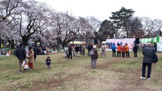 「安針」さんからの投稿写真＠小金井公園