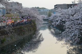 「氷の職人」さんからの投稿写真＠大岡川プロムナード