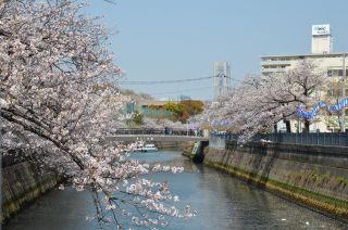 「氷の職人」さんからの投稿写真＠大岡川プロムナード