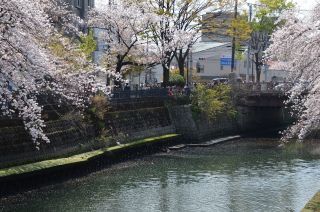 「氷の職人」さんからの投稿写真＠大岡川プロムナード