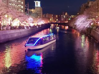 「よっちゃん」さんからの投稿写真＠大岡川プロムナード