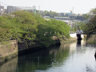 「氷の職人」さんからの投稿写真＠大岡川プロムナード