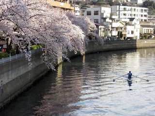 「氷の職人」さんからの投稿写真＠大岡川プロムナード