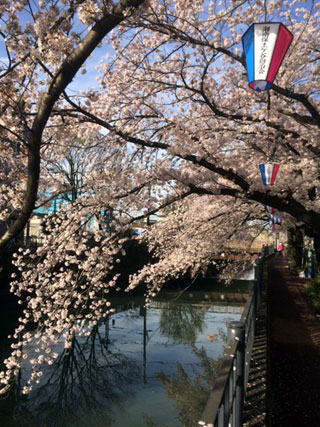 「氷の職人」さんからの投稿写真＠大岡川プロムナード