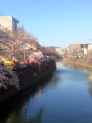 「氷の職人」さんからの投稿写真＠大岡川プロムナード