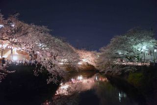 「写楽」さんからの投稿写真＠大岡川プロムナード