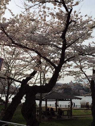 「おしりん」さんからの投稿写真＠高松公園