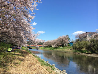 「kikukiku」さんからの投稿写真＠勝間田川沿い