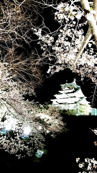 「える」さんからの投稿写真＠大阪城公園